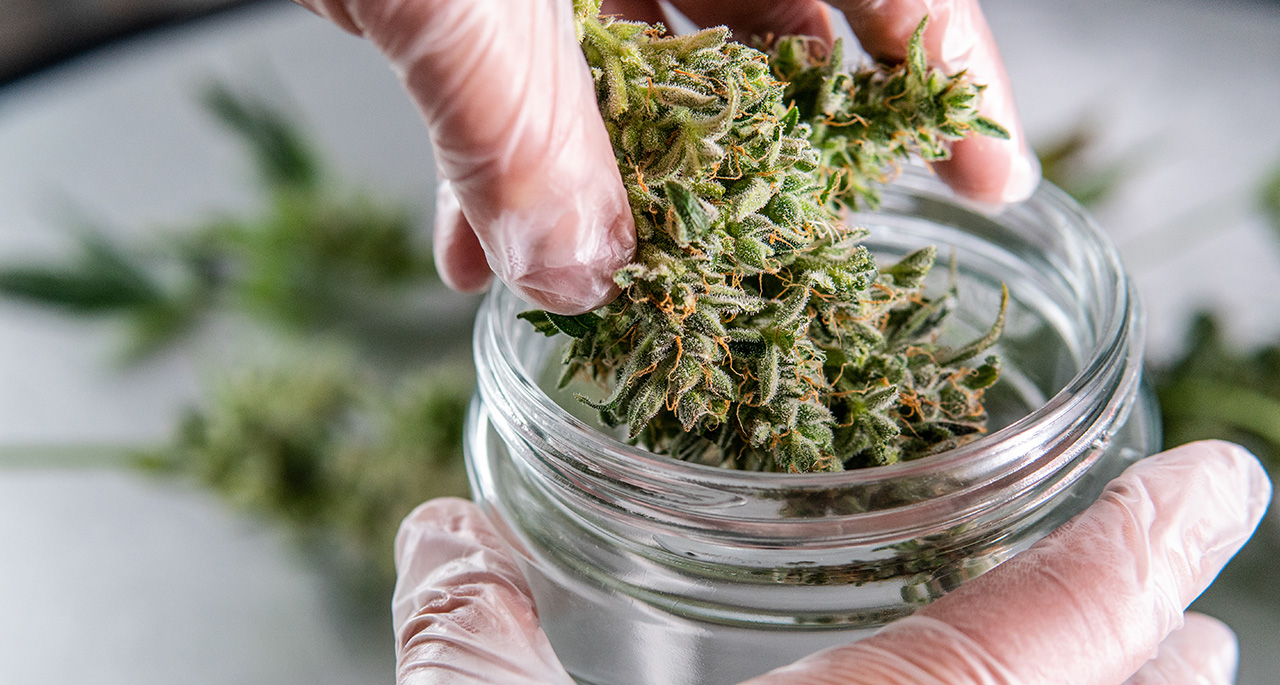 Medizinisches Cannabis auf Rezept bestellen | Witzleben Apotheke Berlin