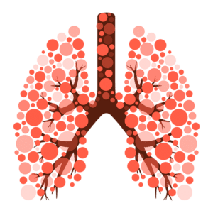 Lungenfunktion