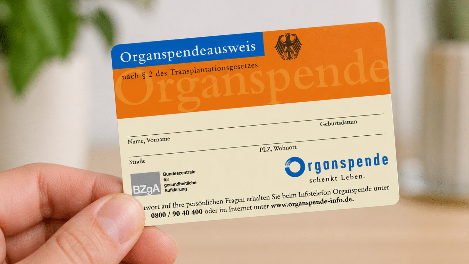 Organspende im Fokus